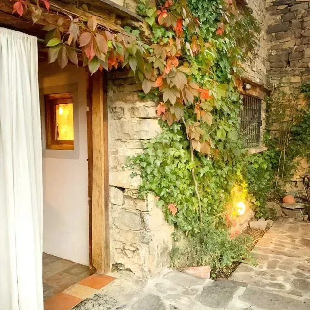 Entrada de casa de piedra con enredaderas y luz cálida.
