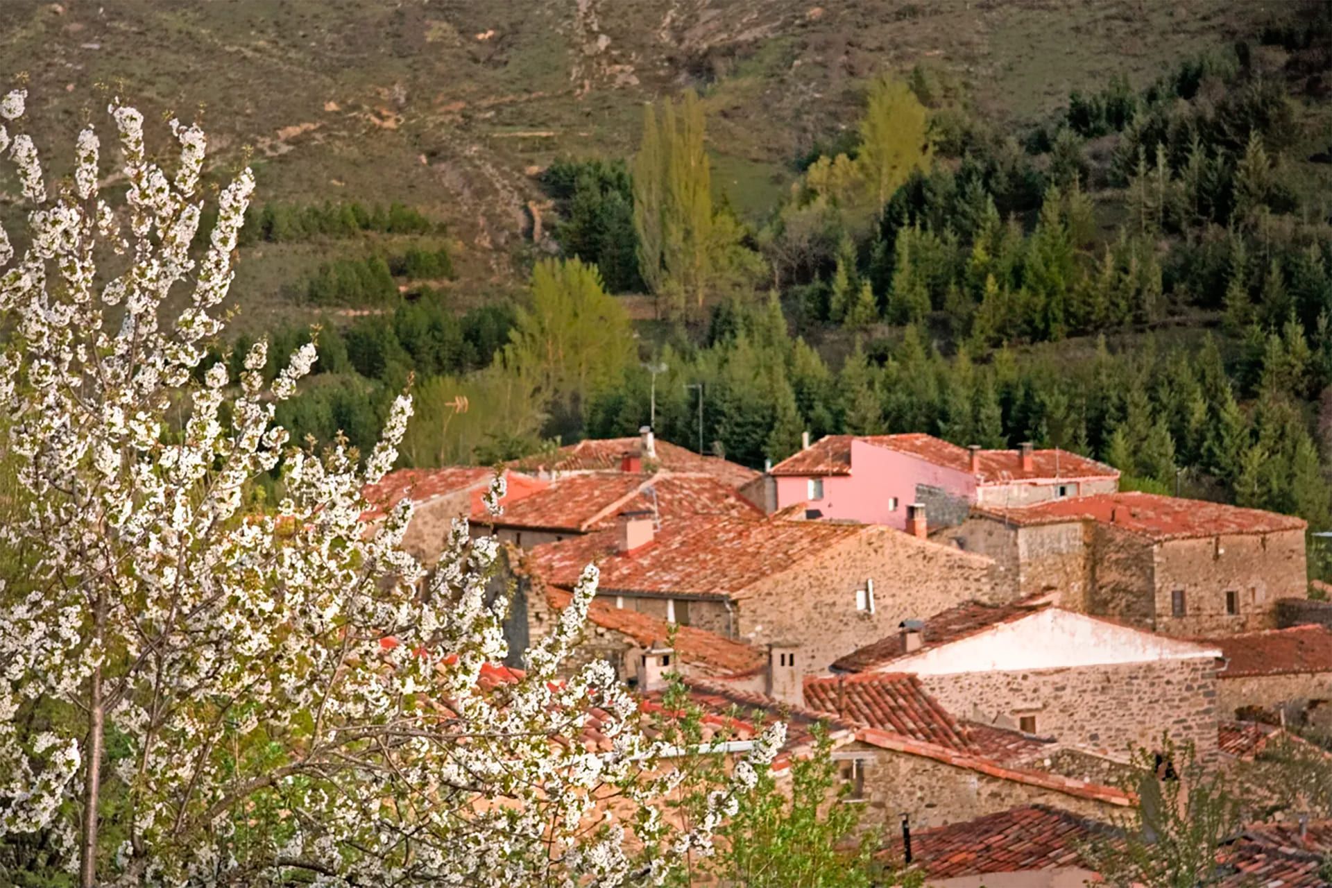 Un pequeño pueblo con flores en primer plano y árboles en el fondo.