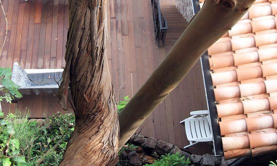 Kraus & Schwarz Holzbau GmbH, Leinburg-Diepersdorf, Villenrestauration, Restauration