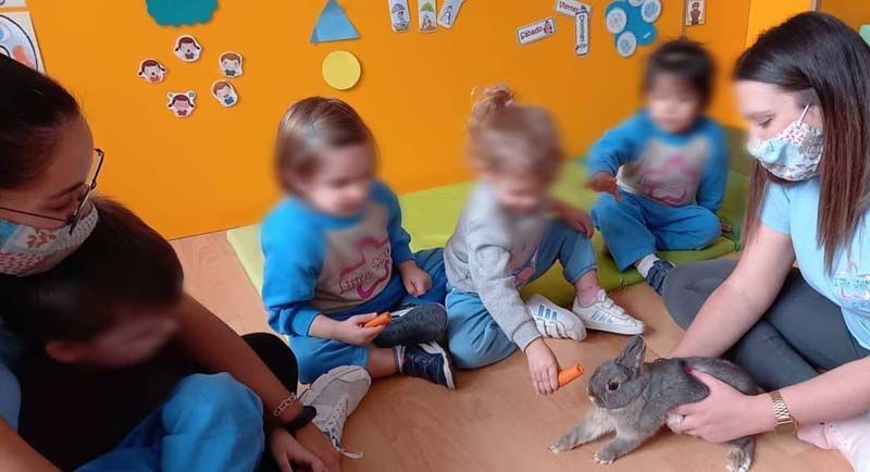 Un grupo de niños está sentado en el suelo jugando con un conejo.