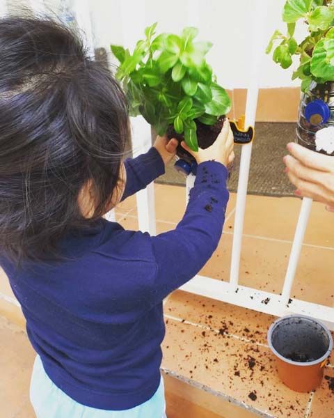 Una niña sostiene una planta en maceta en sus manos.