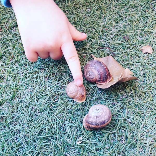 Un niño señala dos caracoles en la hierba.