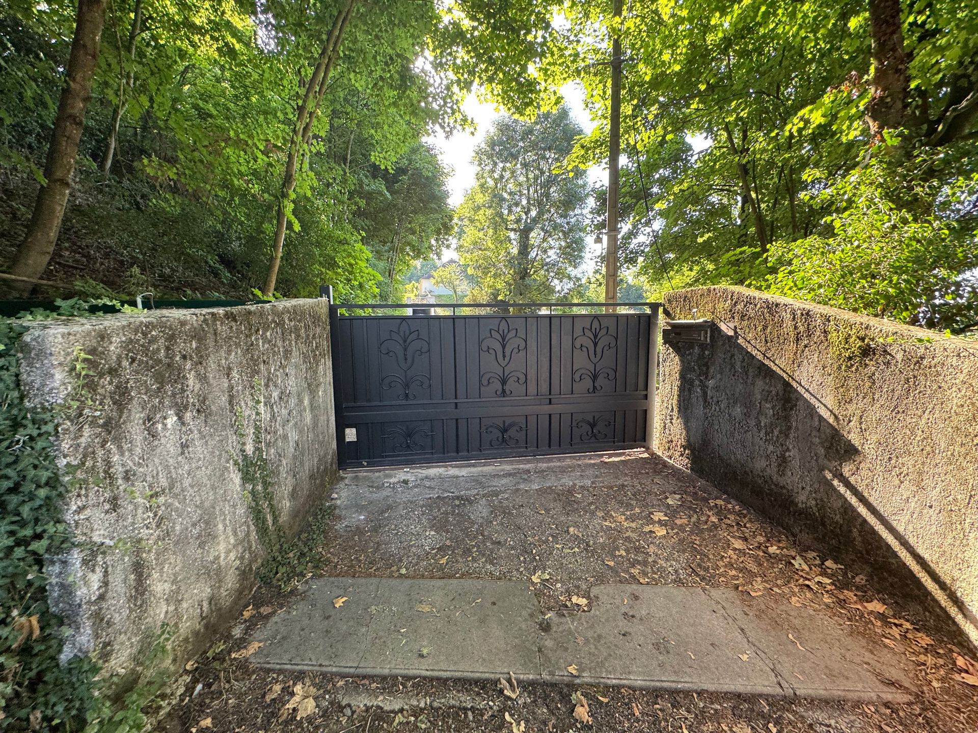 Portail en métal noir dans une entrée en béton, entourée d'arbres et de feuillage.