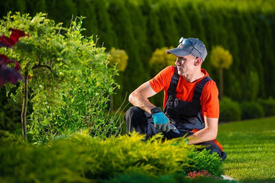 Un jardinier en chemise orange et salopette bleue est agenouillé dans un jardin luxuriant, le regard tourné sur le côté.
