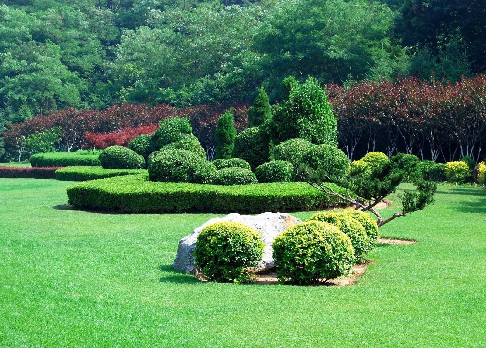 Jardin verdoyant et soigné, agrémenté de divers arbustes et d'une pierre, avec des arbres en arrière-plan.