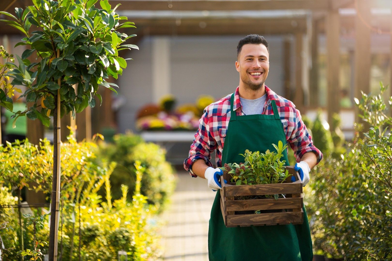 Une personne souriante, portant un tablier et transportant une caisse de plantes, dans un jardin.