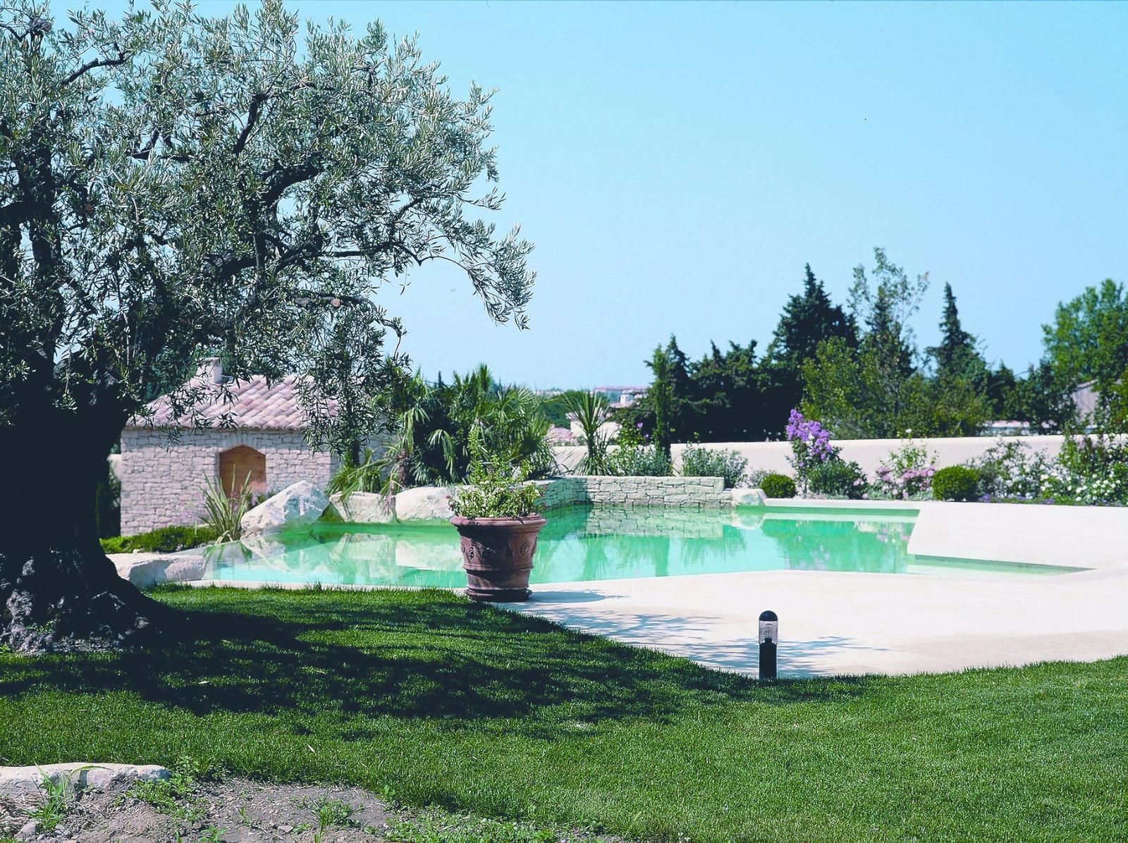 Piscine aux eaux claires, bâtiment en pierre et olivier sous un ciel bleu.