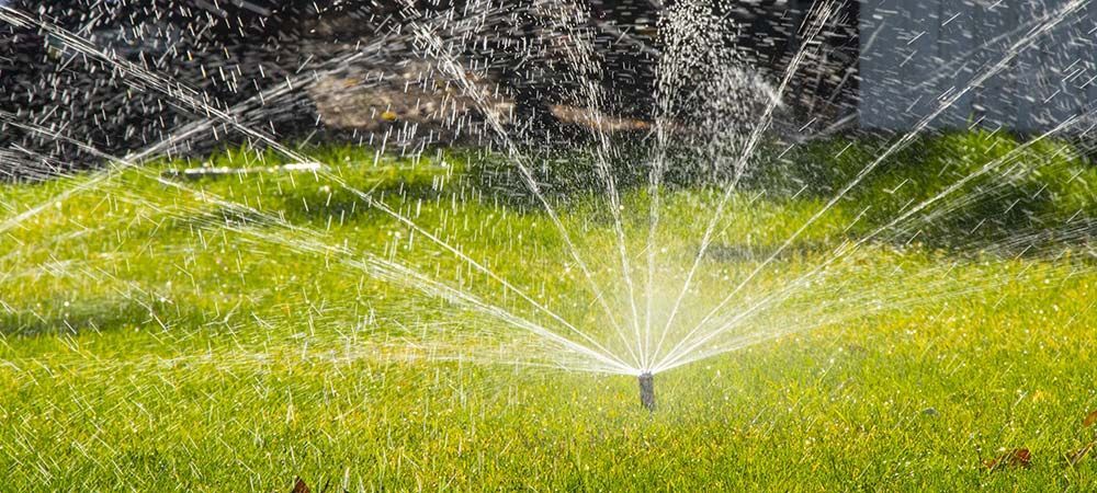 Arrosage automatique d'une pelouse verte dans un jardin.