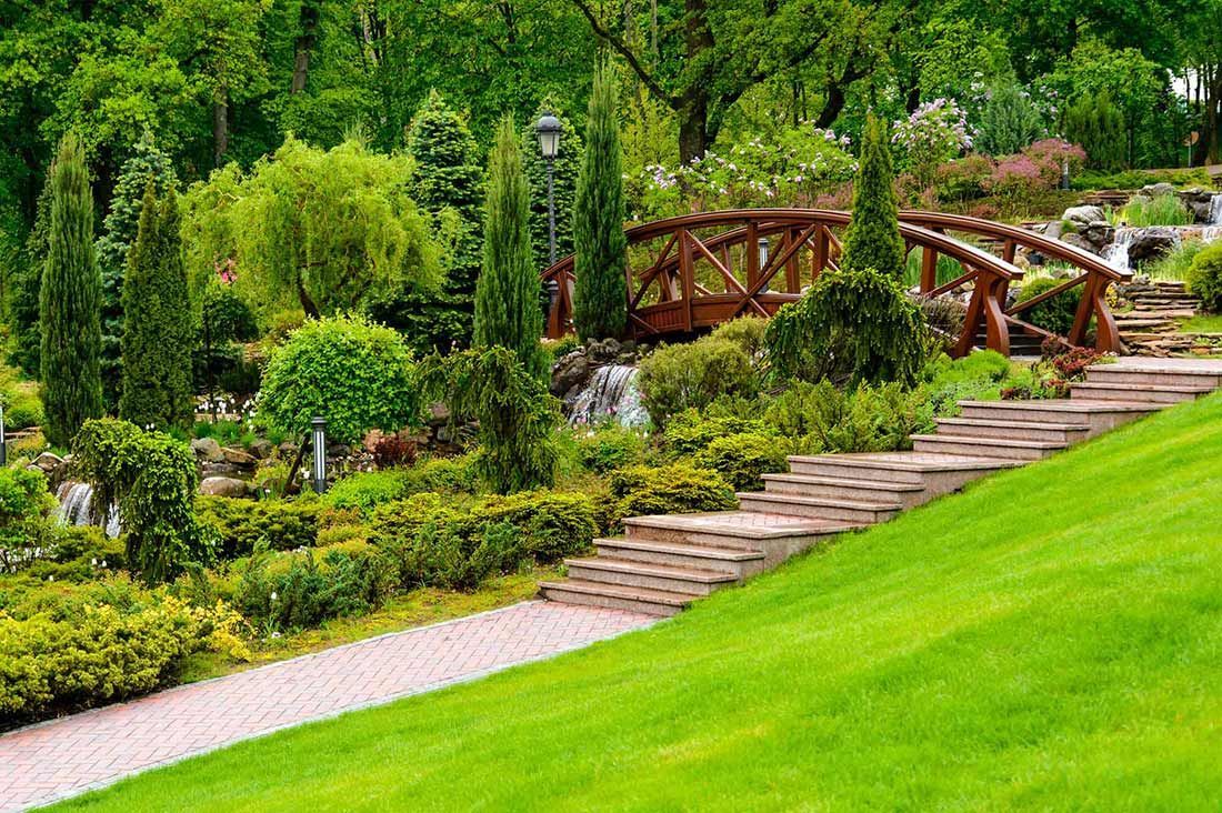 Jardin luxuriant avec un pont en bois, des marches en pierre, un chemin de promenade et diverses plantes et arbres verts.
