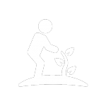 Personne plantant un arbre.