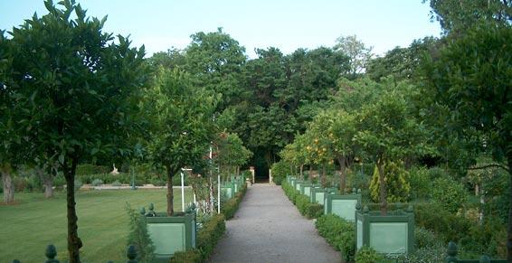 paysagiste - jardin à la francaise