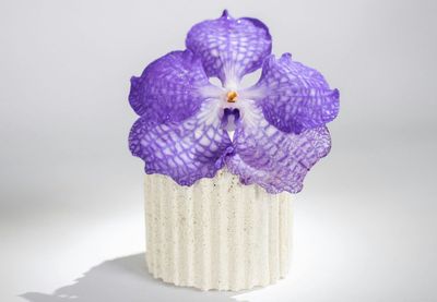 Vanda