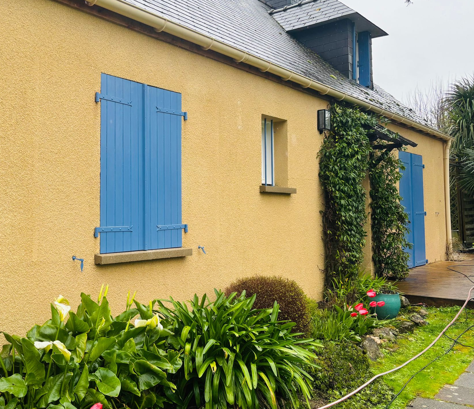 Maison jaune avec volets bleus, plantes vertes et allée de jardin