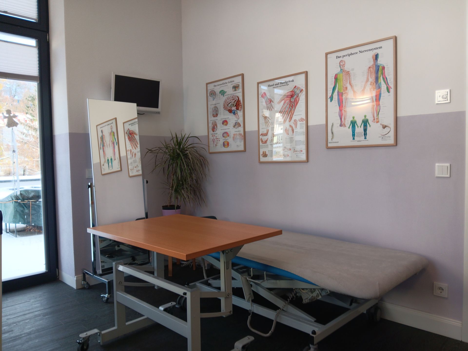 Medizinischer Untersuchungsraum mit Untersuchungstisch, Anatomiepostern, Spiegel und Pflanze.