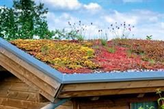 Ein Holzhaus mit einem grünen Dach, das mit Pflanzen und Blumen bedeckt ist.