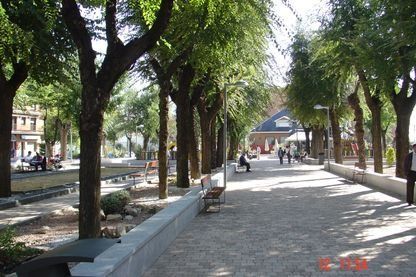Paseo arbolado en un parque con bancos y un edificio a lo lejos.