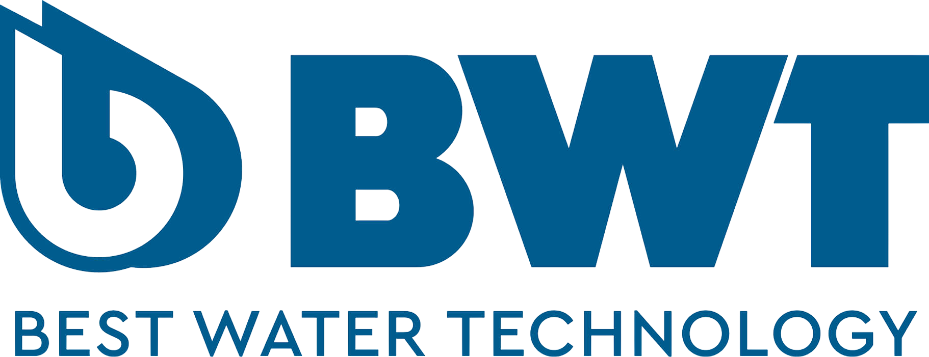 Logo de BWT