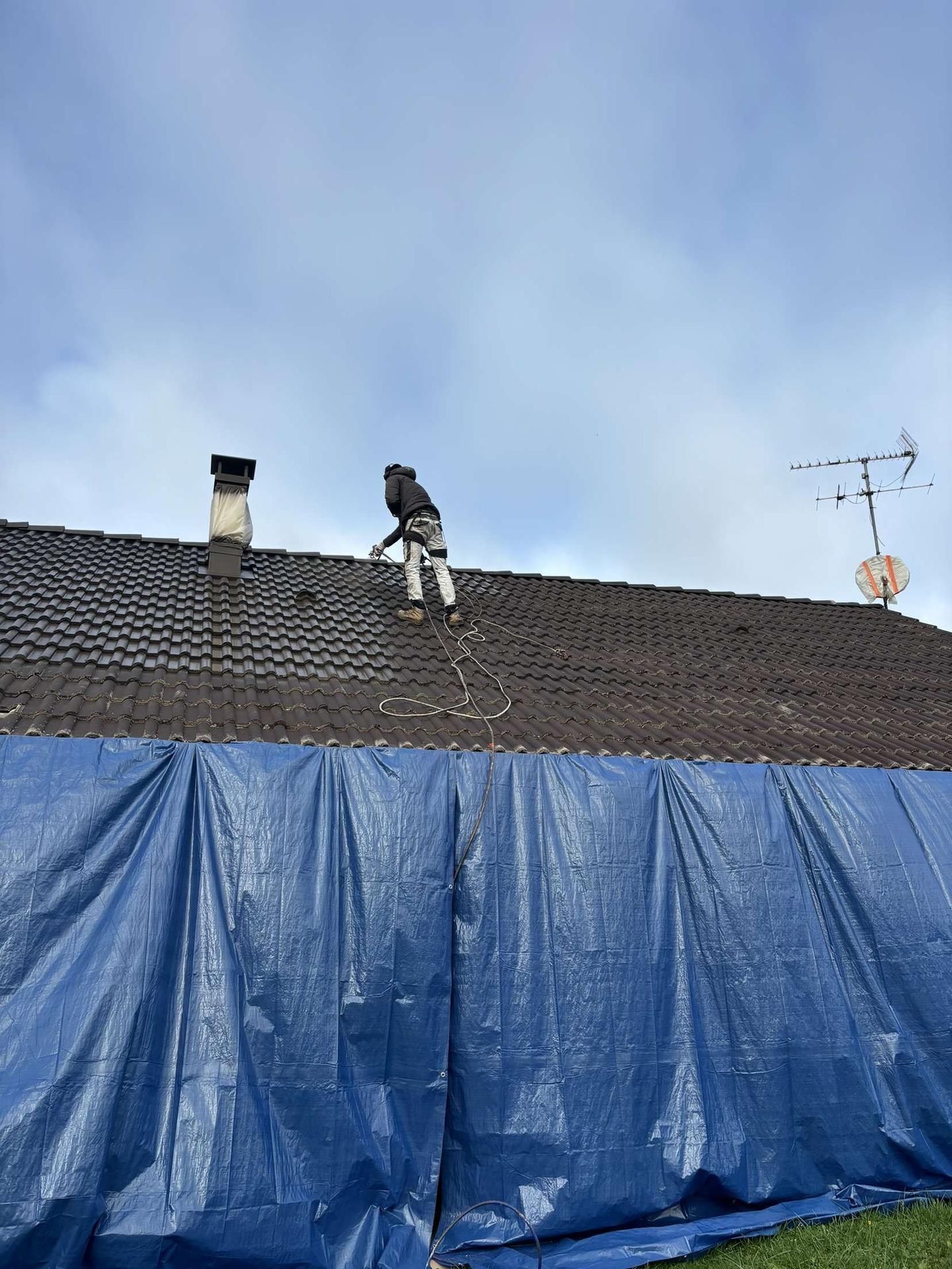 Nettoyage et démoussage de tuiles.