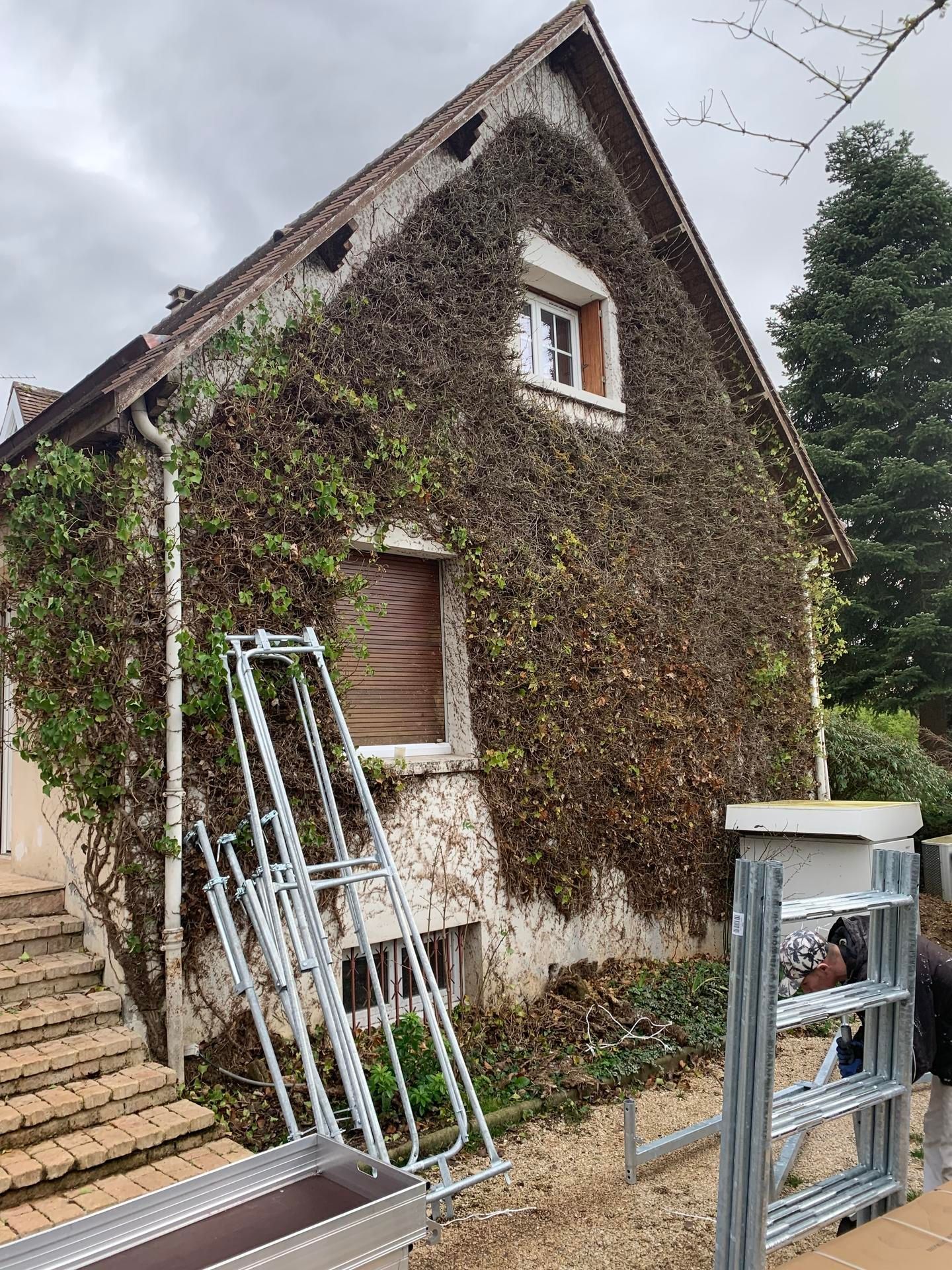 Façade avec du lierre.