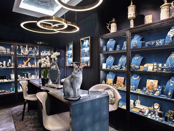 Un chat gris est assis sur un comptoir dans une bijouterie chic à l'éclairage tamisé, aux murs bleu foncé, aux vitrines en verre et aux luminaires modernes.