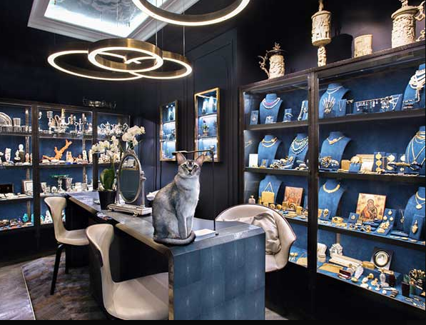 Un chat gris et élégant est assis sur un comptoir dans une bijouterie chic à l'éclairage tamisé, remplie de vitrines sur des murs bleu marine.