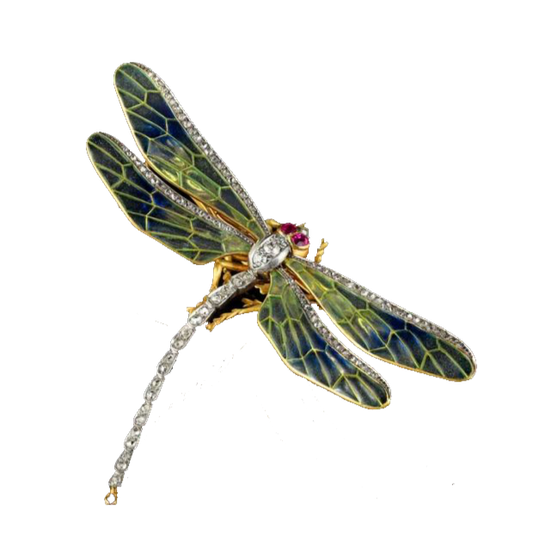 Une broche libellule en or, avec des ailes émaillées, des accents de diamants et de petits yeux en rubis.