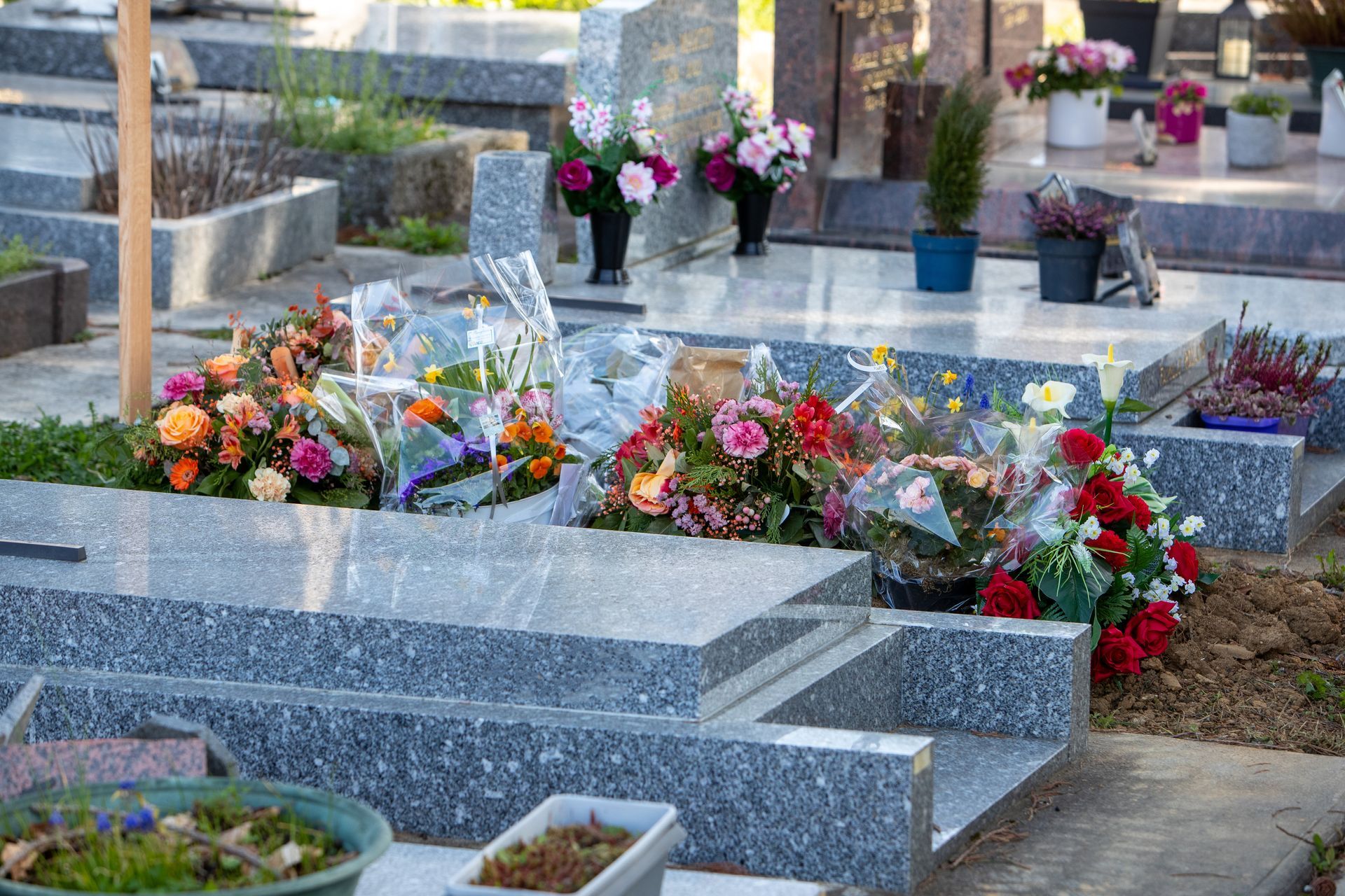 Hommages floraux sur des tombes en granit gris dans un cimetière, avec des bouquets colorés et des fleurs en pot.