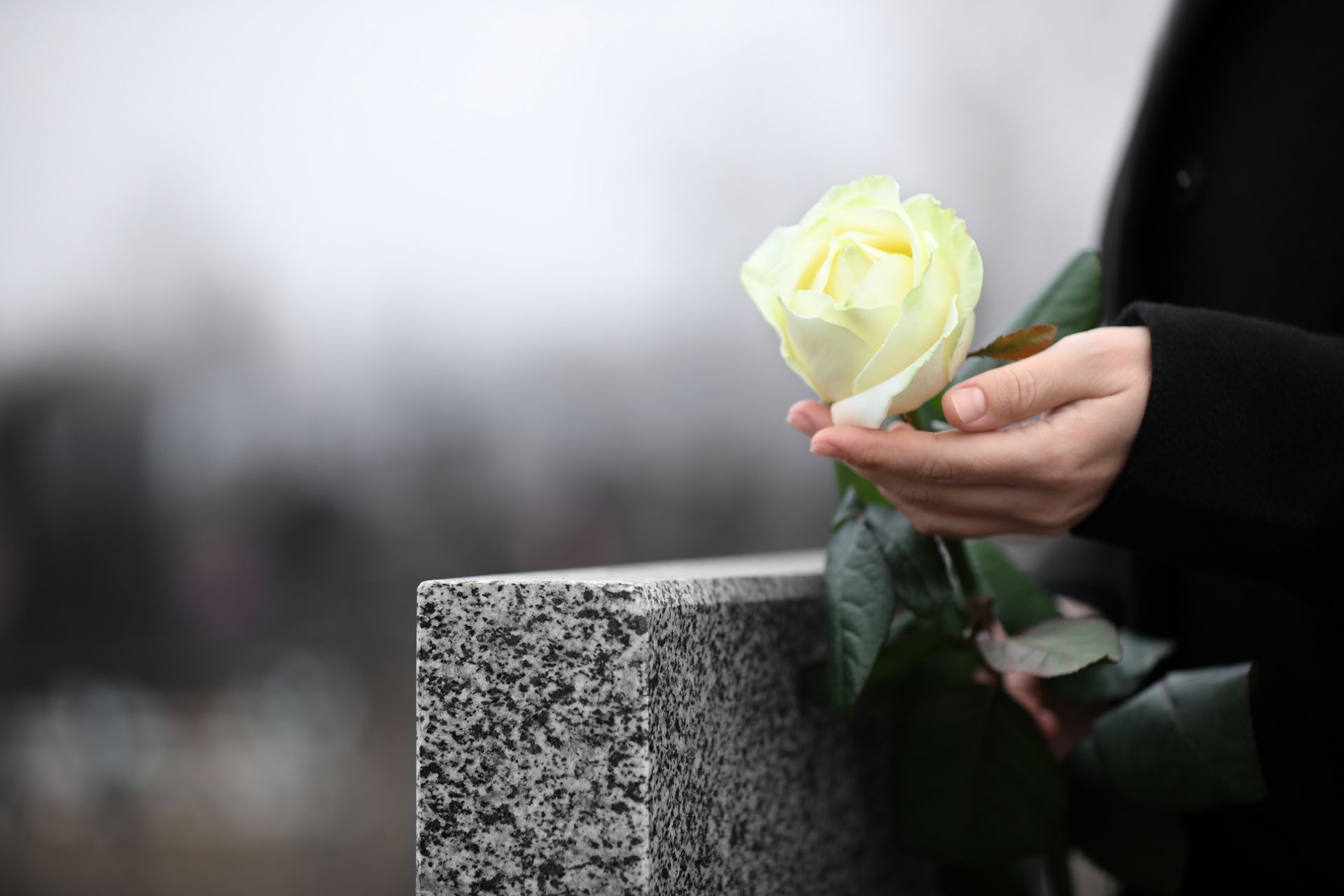 Une main tenant une rose jaune pâle près d'une pierre tombale grise dans un cadre extérieur sombre.