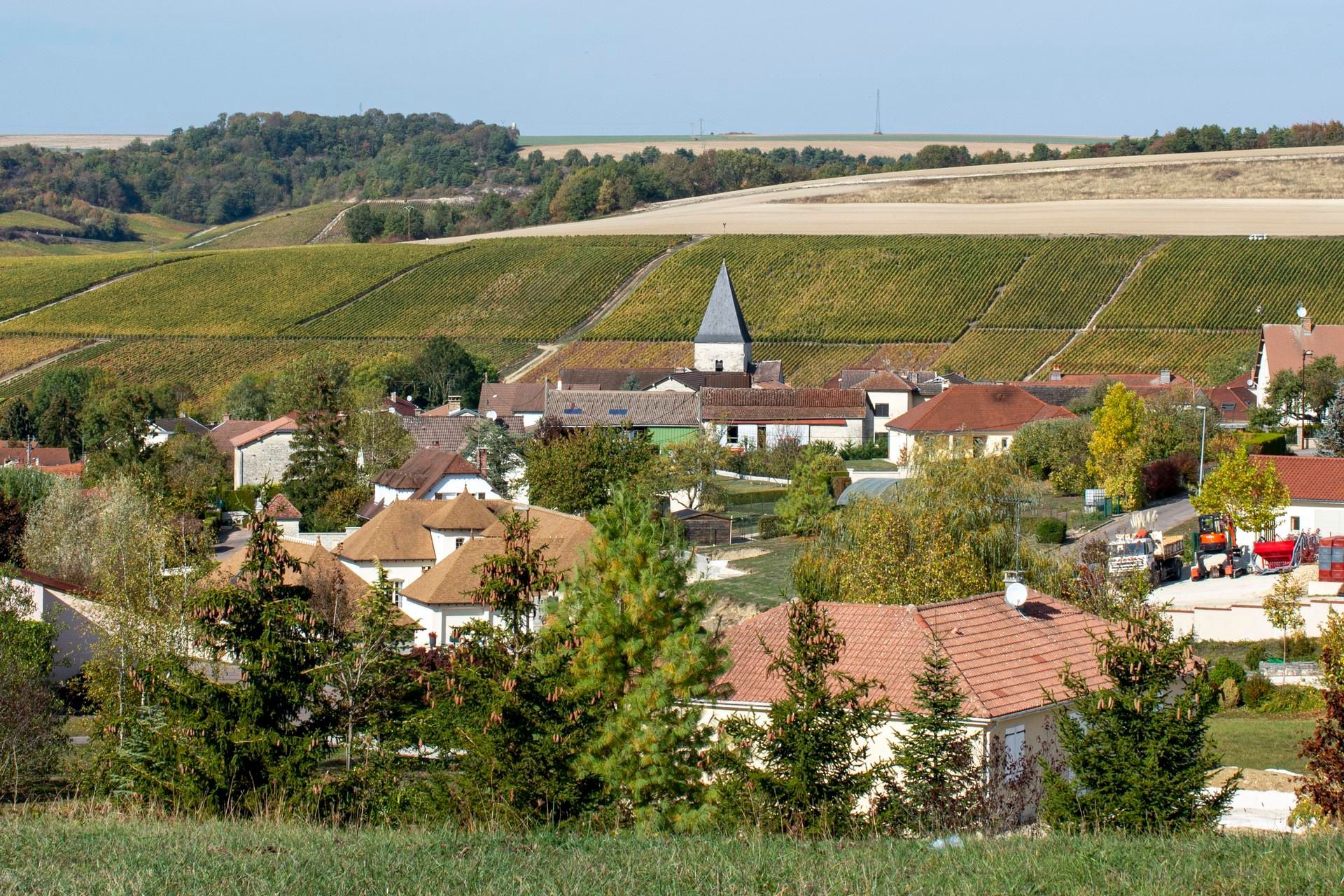 Village aux maisons aux toits rouges et à l'église, au milieu de vignes verdoyantes.
