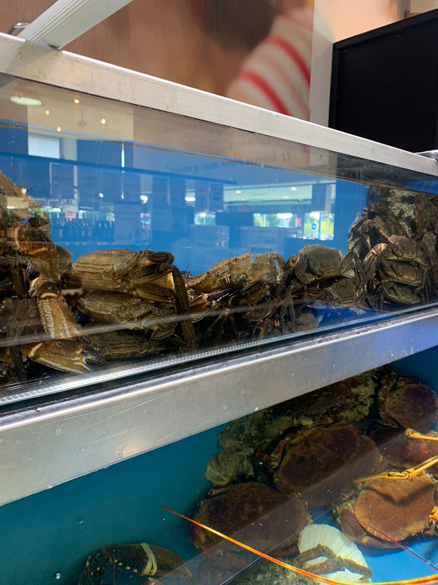 Una vitrina llena de cangrejos y langostas en un restaurante.