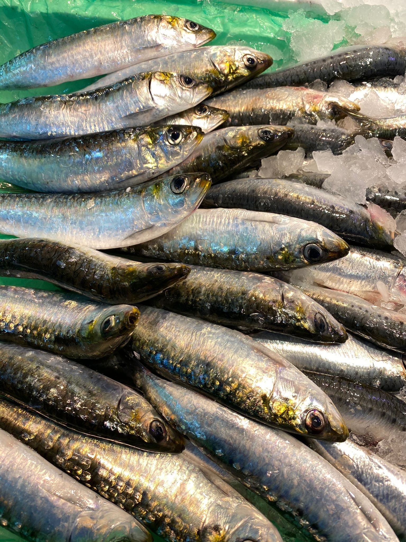 Una pila de sardinas encima del hielo.