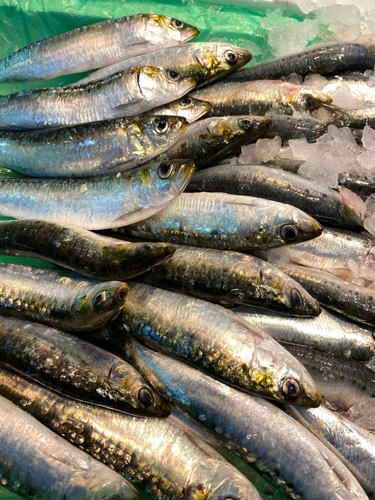 Una pila de sardinas encima del hielo.