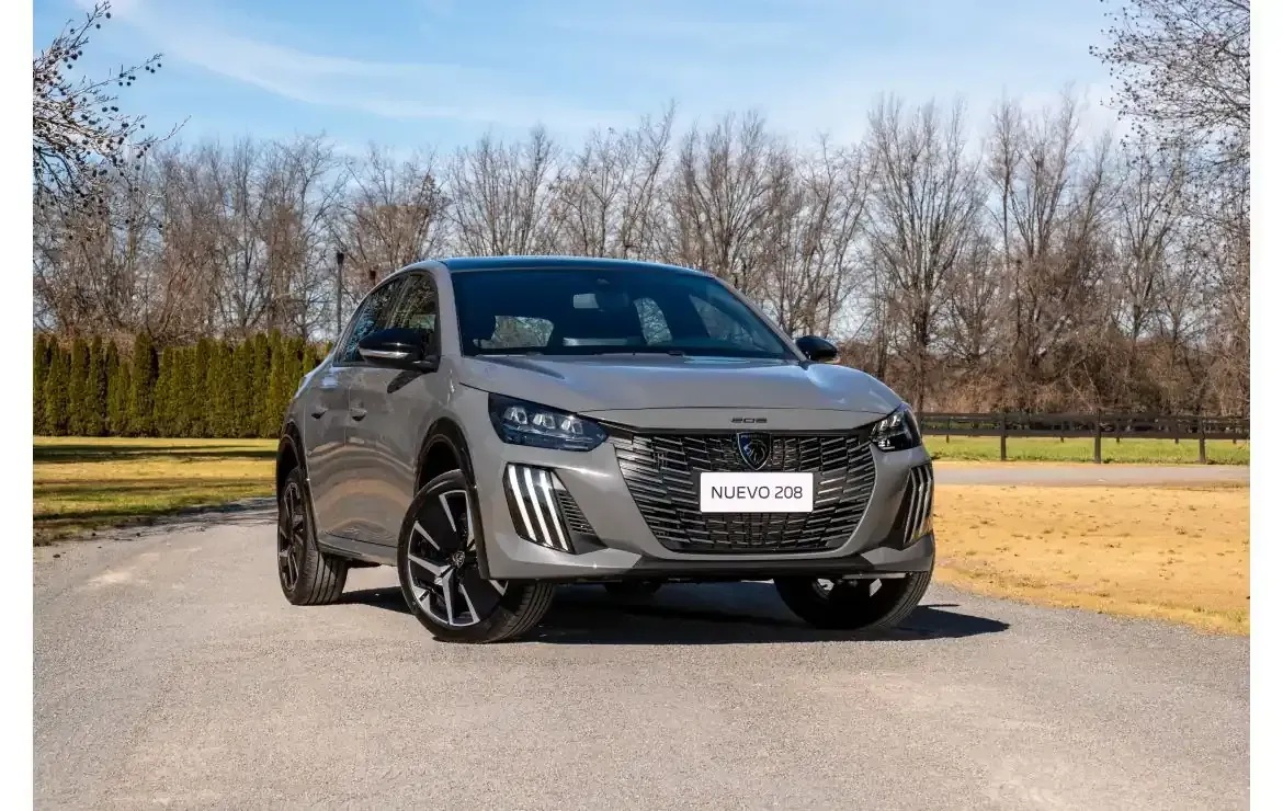 Un SUV gris estacionado en una carretera pavimentada con árboles y césped al fondo.