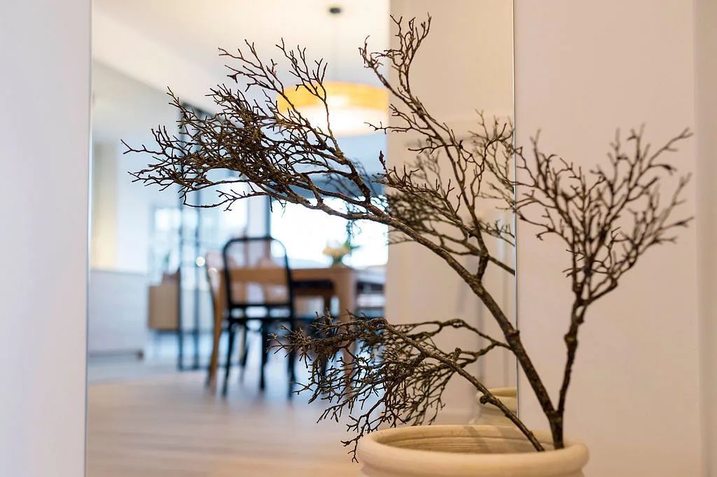 Una planta en maceta frente a un espejo con un comedor al fondo.