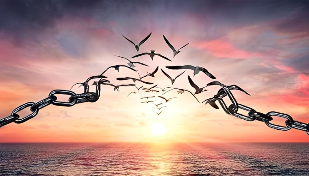 Zerbrochene Kette mit Vögeln, die in Richtung eines Sonnenuntergangs über dem Meer fliegen.