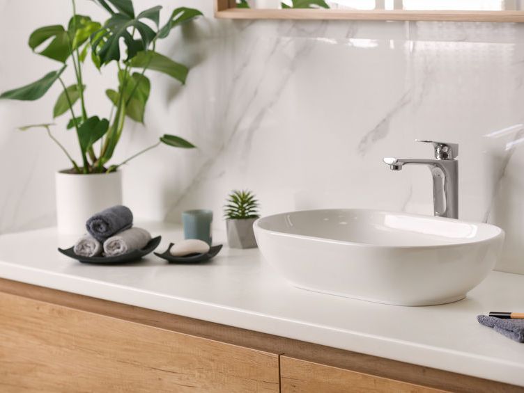 Un baño con un lavabo y una planta en la encimera.