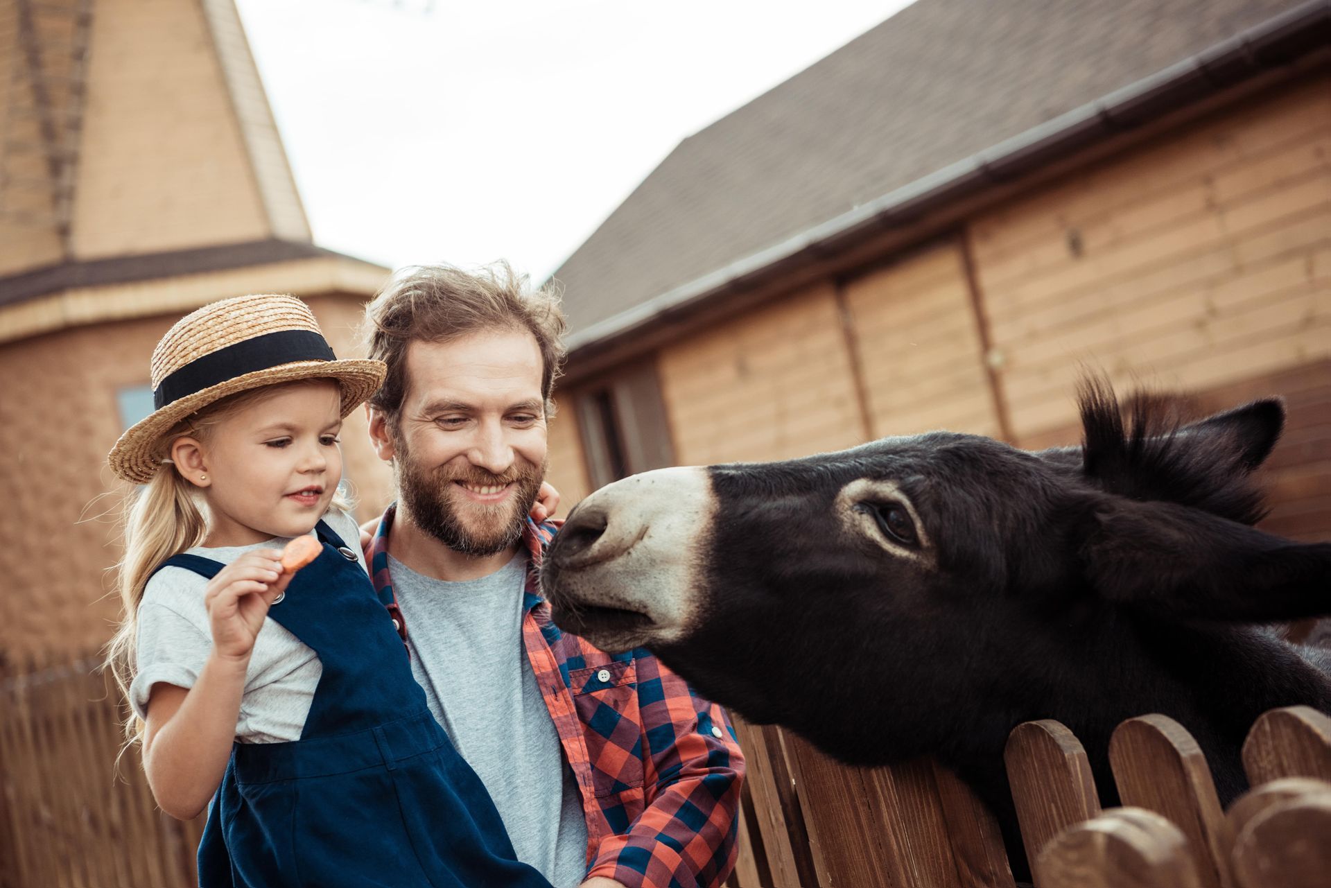 Vater mit Kind im Streichelzoo