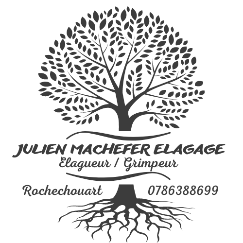 EI JULIEN MACHEFER ELAGAGE