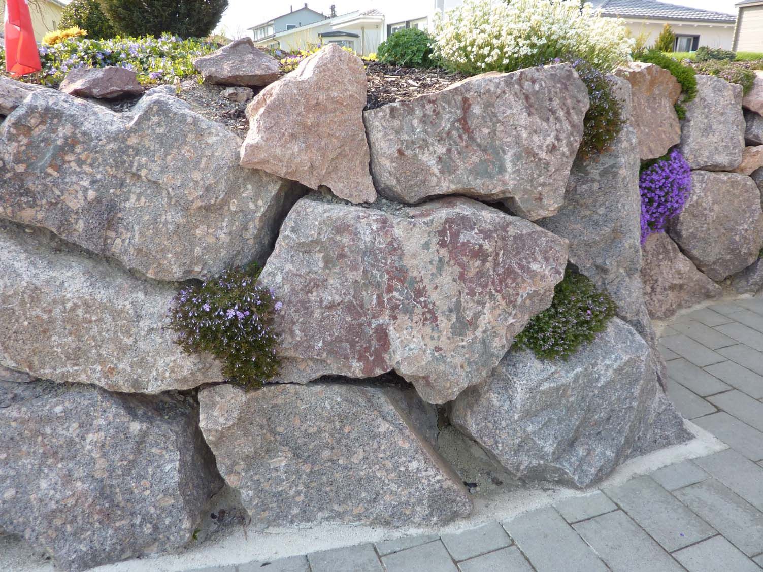 Natursteinmauer - Schlauri & Holenstein AG - Zuckenriet