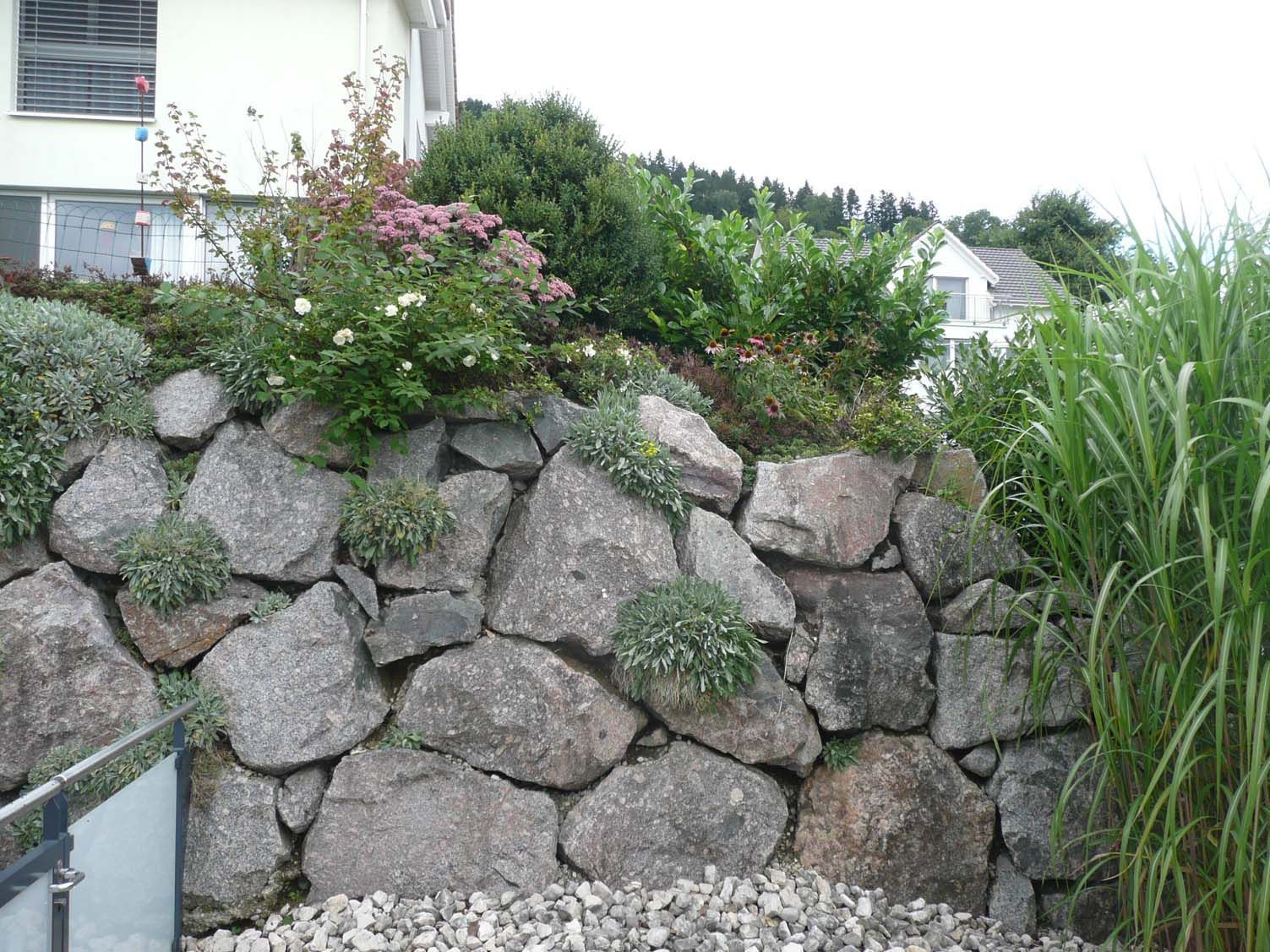 Natursteinmauer - Schlauri & Holenstein AG - Zuckenriet