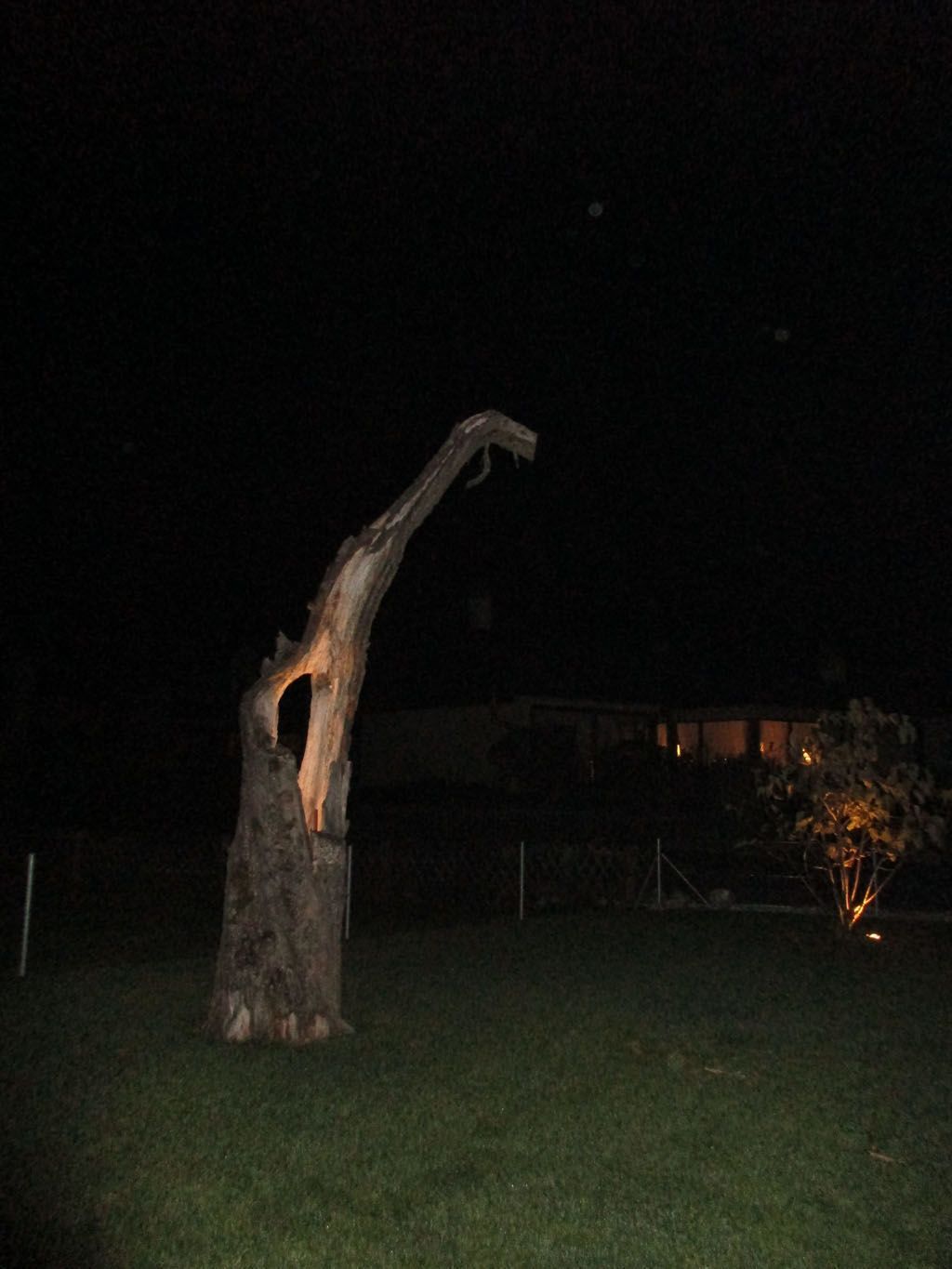 Apfelbaumstamm - [company_name] - [city]