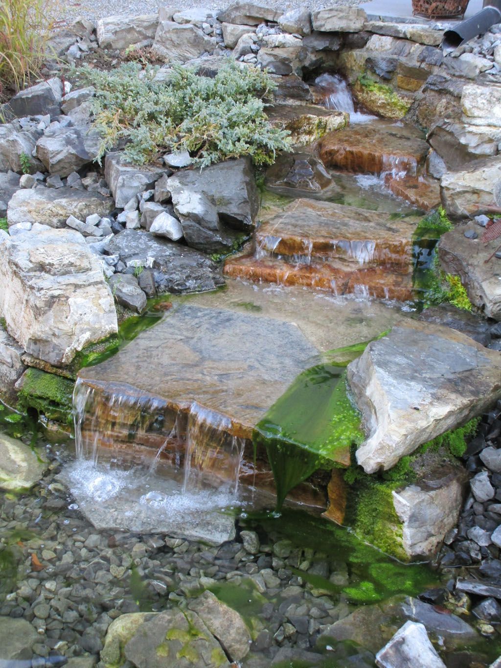 Bachlauf - [company_name] - [city]