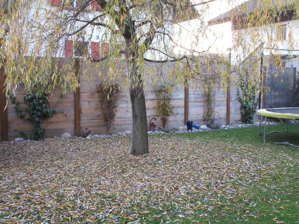 Holzwand Metallpfosten - [company_name] - [city]