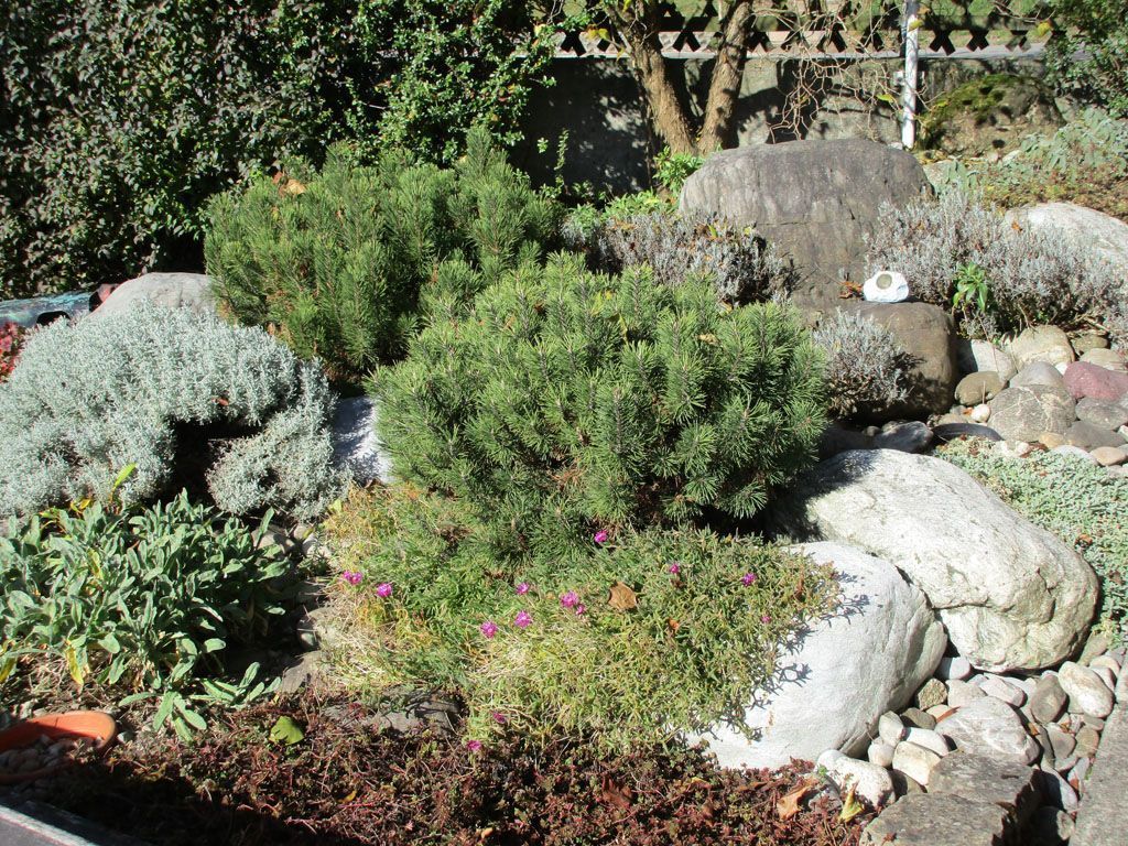 Gartenbau und Gartenplanung - [company_name] - [city]