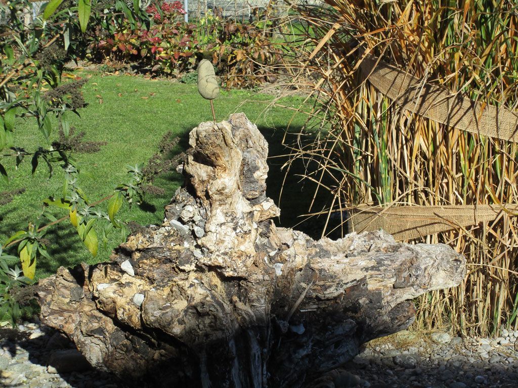 Gartenbau und Gartenplanung - [company_name] - [city]