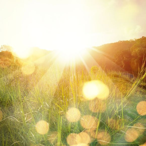 Soleil qui brille sur un champ