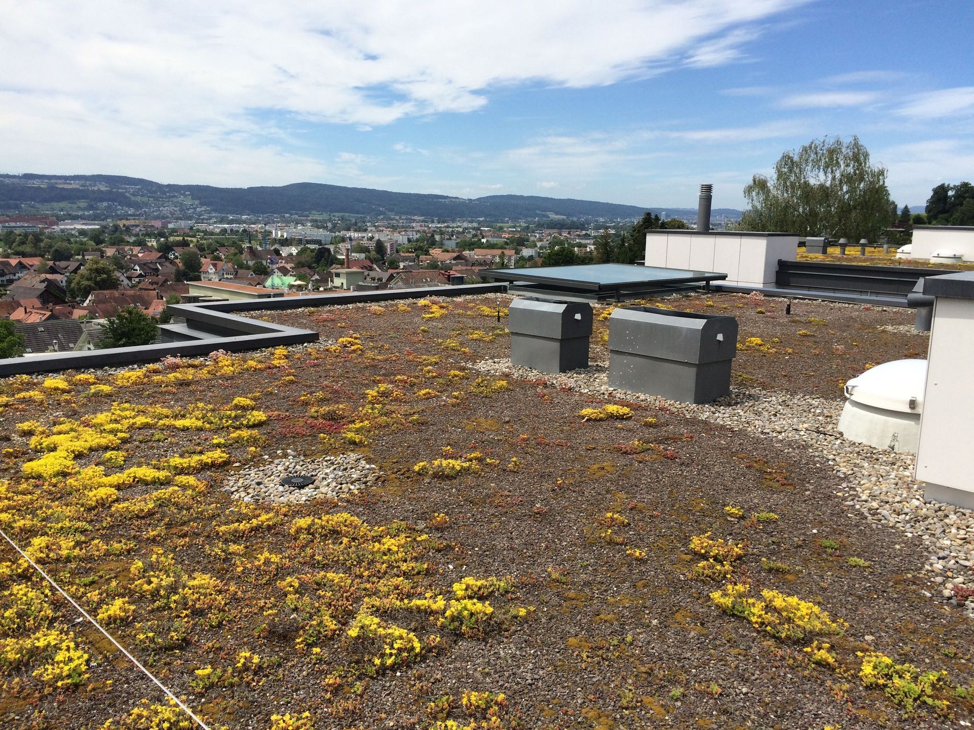Absturzsicherung - Wyss AG Spenglerei Flachdach Blitzschutz