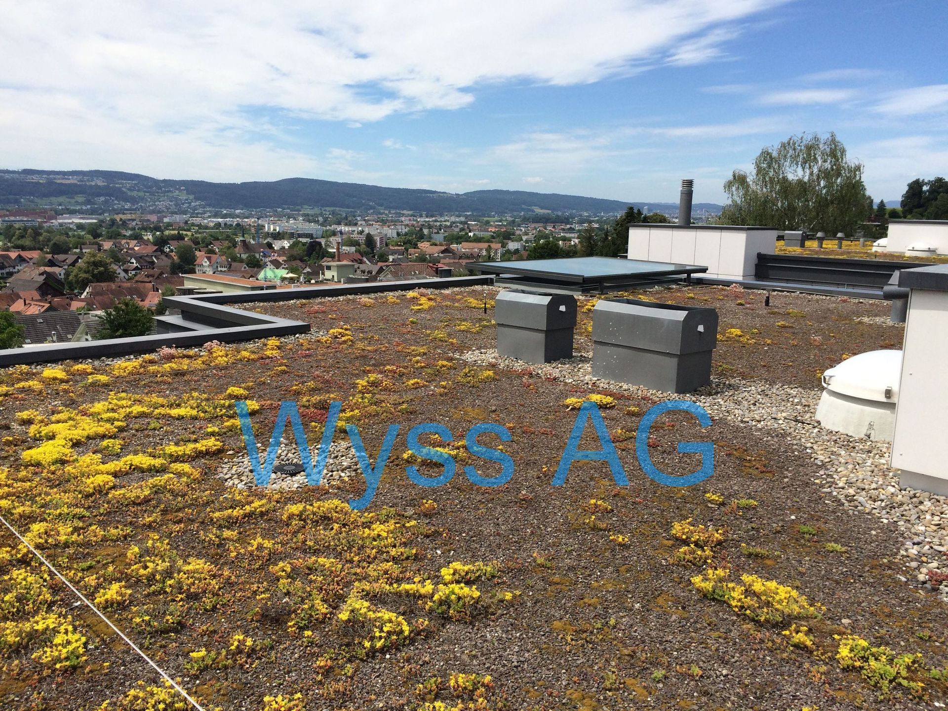 Ein Dach mit vielen gelben Blumen darauf