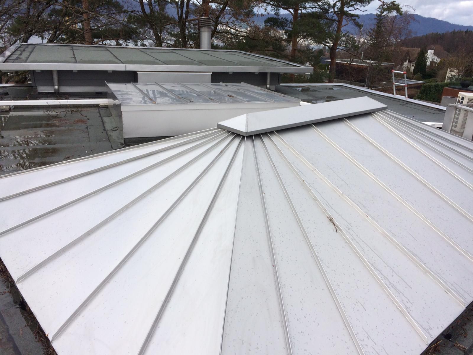 Steildach und Vordach - Lindau - Wyss AG