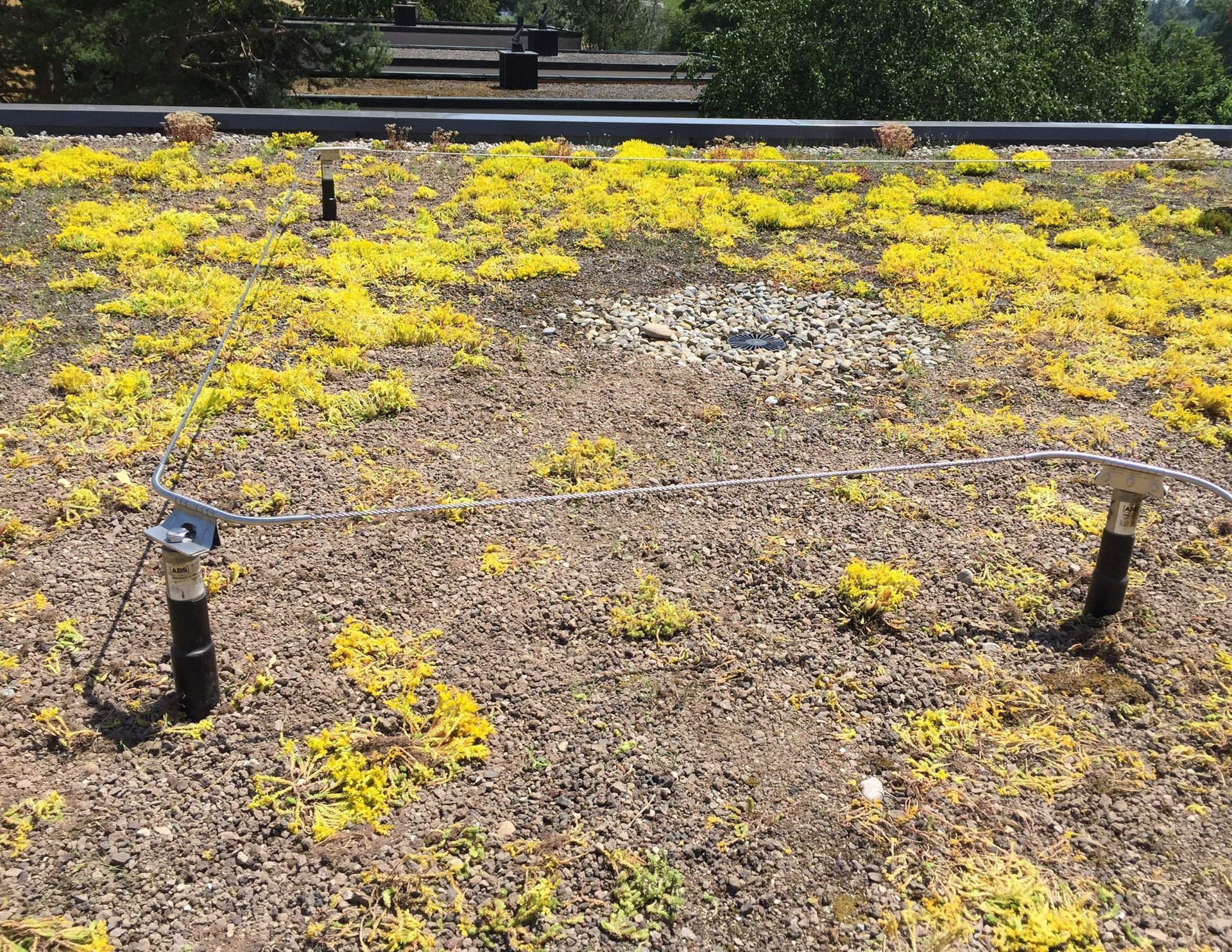 Absturzsicherung - Wyss AG Spenglerei Flachdach Blitzschutz